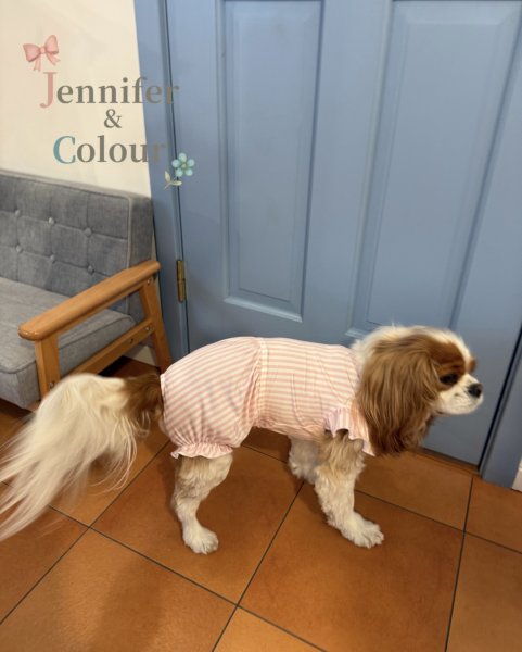 画像5: 【Jennifer & Colour】BALLOON ROMPERS（バルーンロンパース）PINK STRIPE (5)