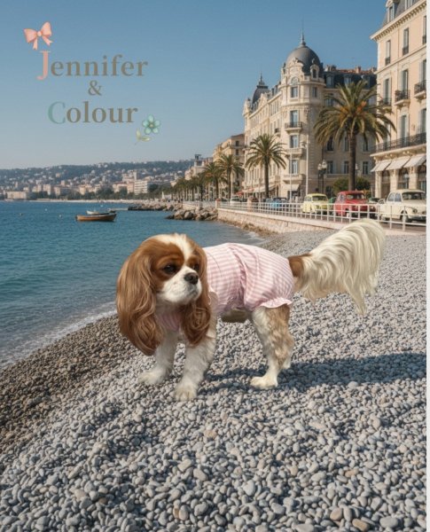 画像4: 【Jennifer & Colour】BALLOON ROMPERS（バルーンロンパース）PINK STRIPE (4)