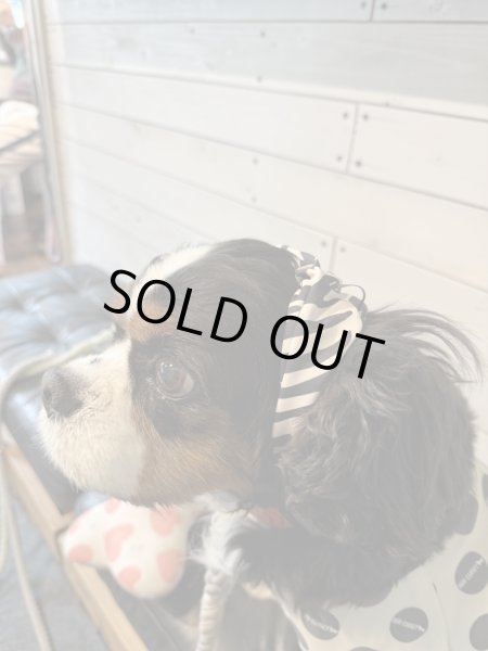 画像3: ８まきイヤーバンド【ゼブラ】 (3)