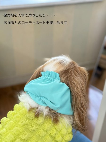 画像11: キャバスーツスヌード【クールネック】Colour (11)