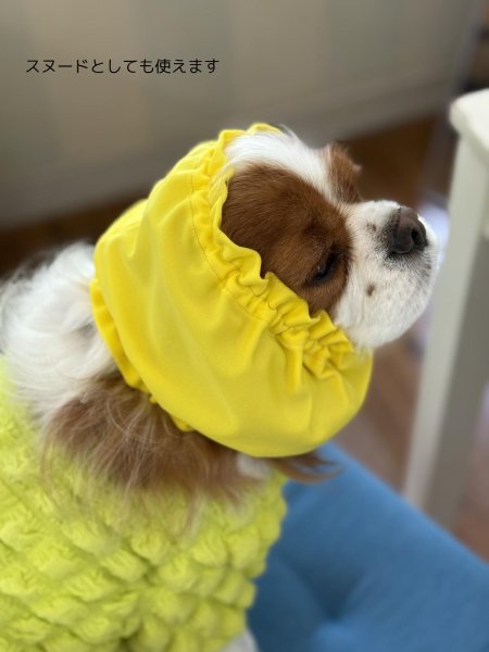 画像12: キャバスーツスヌード【クールネック】Colour (12)