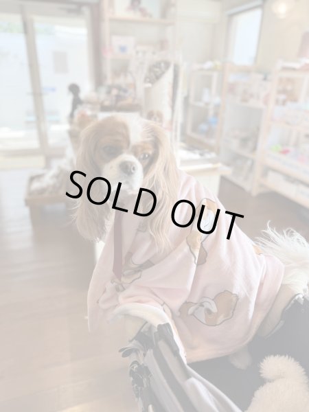 画像2: ニコルソンちゃんブランケット（2025） (2)