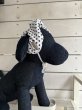 画像1: ８まきイヤーバンド【スター】 (1)