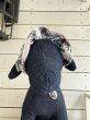 画像2: ８まきイヤーバンド【パナマ】 (2)