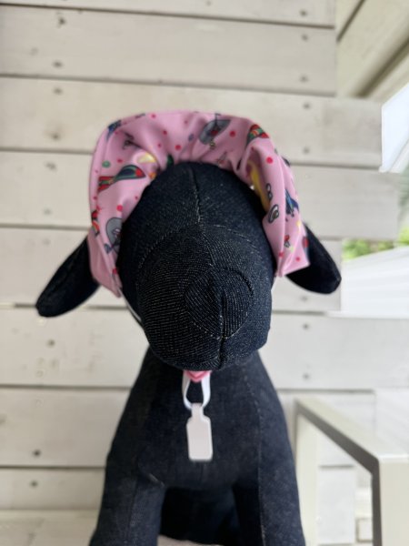 画像2: ８まきイヤーバンド【ギャラクシー】 (2)