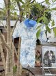 画像5:  【注文受付中】  6月新作 【キャバスーツ LIMITED】Airy SMOCK：Bleu Toile (5)