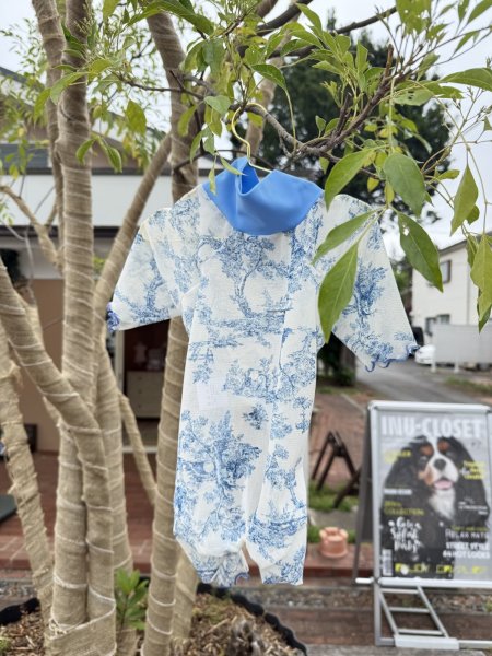 画像5:  【注文受付中】  6月新作 【キャバスーツ LIMITED】Airy SMOCK：Bleu Toile (5)