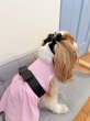 画像26:  【注文受付中】  6月新作 【Jennifer & Colour】Switch Dress (26)