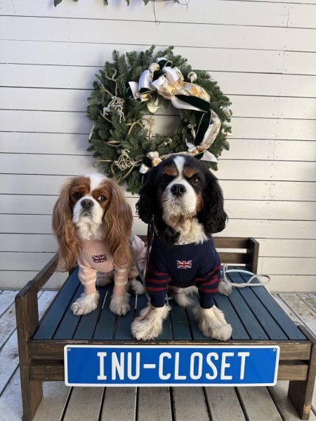 画像8:  12月新作 【Cavasuits KNIT】パネルボーダー2025：ベージュ (8)