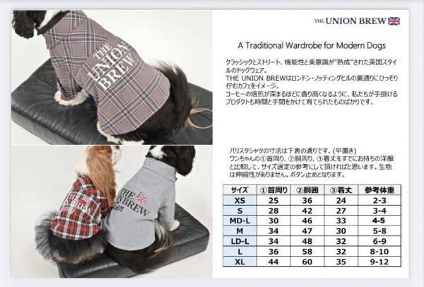 画像3:  【オリジナルネーム入り】 UNION BREW バリスタシャツ (3)