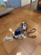 画像16: 【THE UNION BREW】Cotton Tank (16)