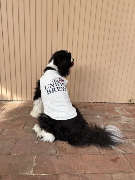 画像25: 【THE UNION BREW】Cotton Tank (25)
