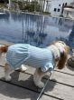 画像20:  【注文受付中】  6月新作  【Jennifer & Colour】BALLOON ROMPERS（バルーンロンパース）MINT：Chalk Stripe (20)