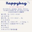 画像4: HAPPY BAG (4)