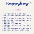 画像3: HAPPY BAG (3)