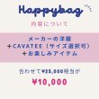 画像2: HAPPY BAG (2)