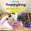 画像1: HAPPY BAG (1)