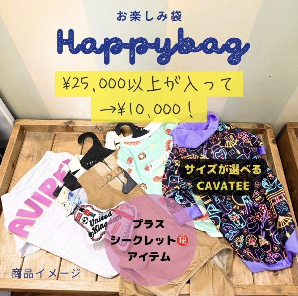 画像1: HAPPY BAG (1)