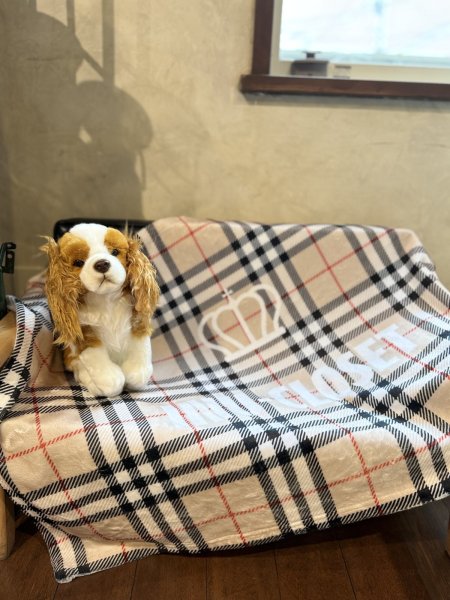 画像3: イヌクロロゴ【クラウン】ブランケット (3)