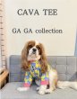画像7: 【CAVA TEE】GA GA collection（ガーガーコレクション） (7)