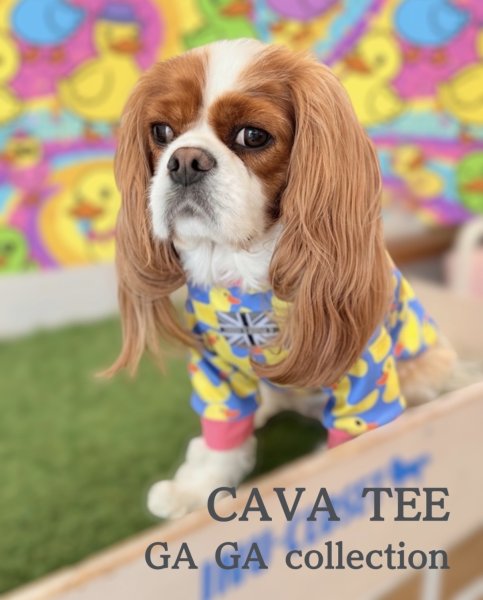 画像8: 【CAVA TEE】GA GA collection（ガーガーコレクション） (8)