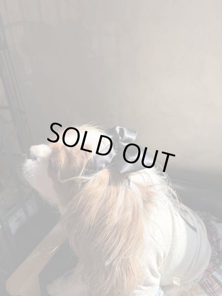 画像2: リボンイヤーバンド【ミント・Ｍサイズ】 (2)