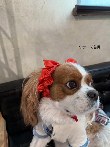 画像2: リボンイヤーバンド【ミント・Ｓサイズ】 (2)