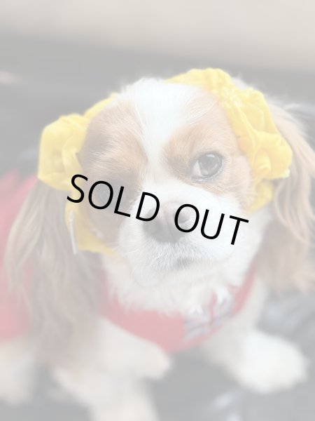 画像2: ヘアータイ【浴衣・黄】 (2)