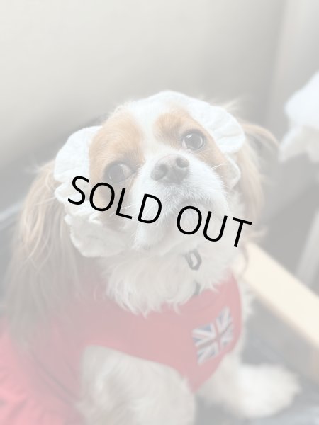 画像2: ヘアータイ【レース】 (2)