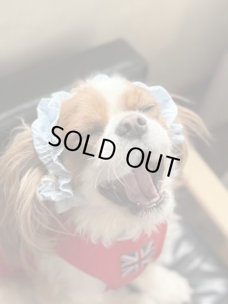 画像2: ヘアータイ【シンプル・ベビーブルー】 (2)