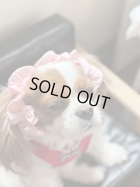 画像2: ヘアータイ【シンプル・ベビーピンク】 (2)