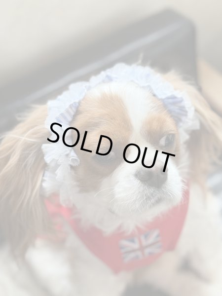 画像2: ヘアータイ【ストライプレース・ブルー】 (2)