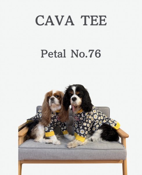 画像1: 【CAVA TEE】Petal NO.76 (1)