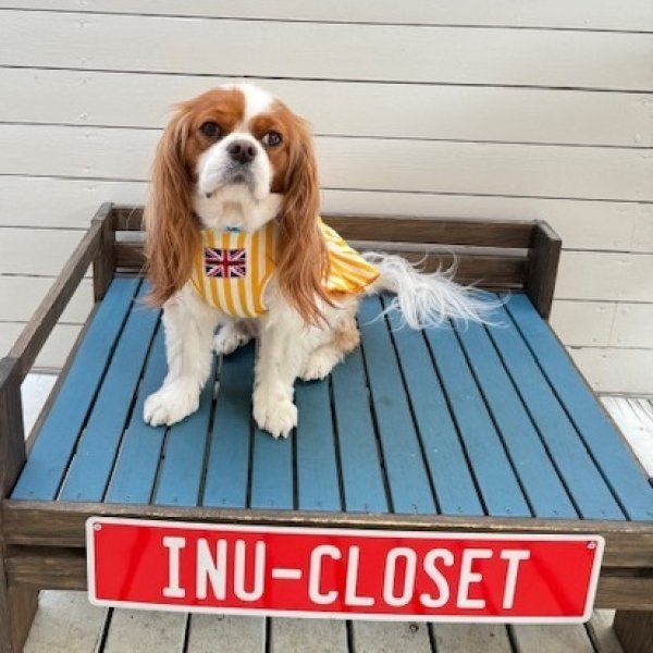 画像4:  7月新作 【キャバスーツ ワンピ】Pool Side（プールサイド） (4)