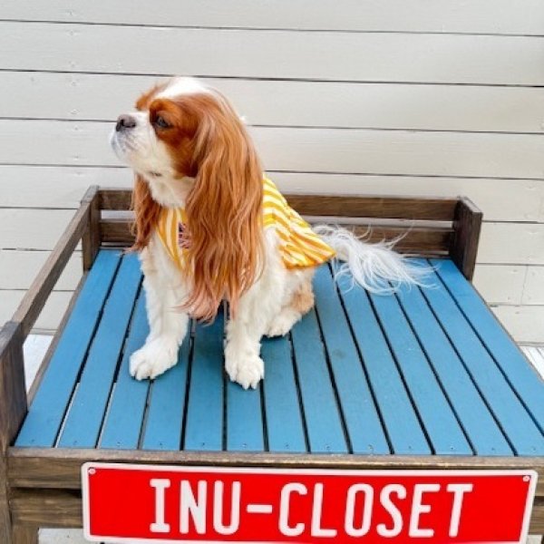 画像5:  7月新作 【キャバスーツ ワンピ】Pool Side（プールサイド） (5)