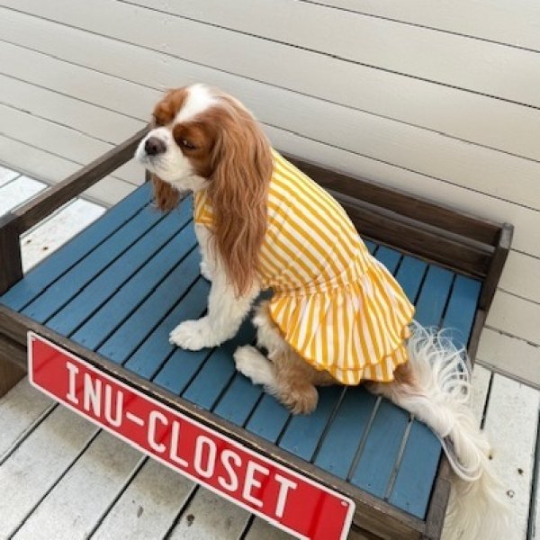 画像6:  7月新作 【キャバスーツ ワンピ】Pool Side（プールサイド） (6)