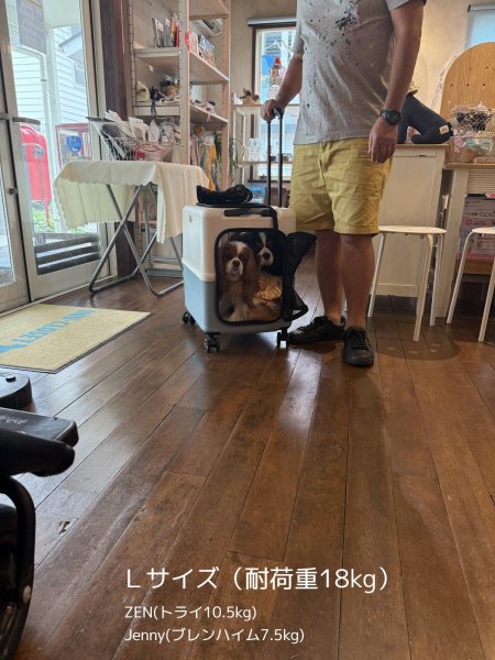 画像8:  【期間限定キャバヒルステッカー付】 PETiCOのペットキャリー「ico」 (8)