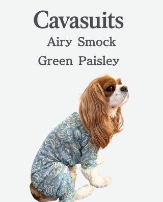 Cavasuits（キャバスーツ） - INU－CLOSET