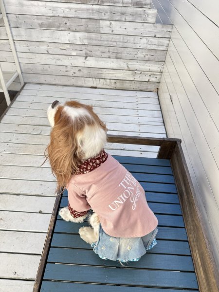 画像8:  【オリジナルネーム入り】 UNION BREW バリスタシャツ：コーデュロイ (8)