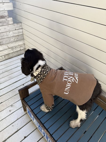 画像12:  【オリジナルネーム入り】 UNION BREW バリスタシャツ：コーデュロイ (12)