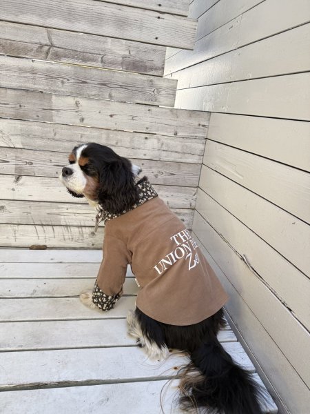 画像13:  【オリジナルネーム入り】 UNION BREW バリスタシャツ：コーデュロイ (13)