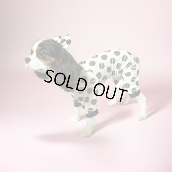 画像2:  10％OFF 【キャバスーツ LIMITED】INU LATTE（イヌラテ） (2)