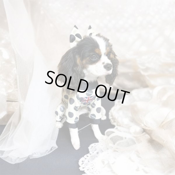 画像3:  10％OFF 【キャバスーツ LIMITED】INU LATTE（イヌラテ） (3)