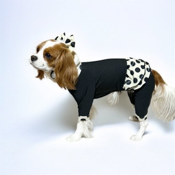 画像2:  10％OFF 【キャバスーツ FRILL】INU latte（イヌラテ） (2)