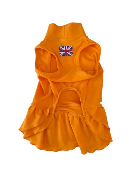 画像29:  Ｍサイズ・カラー限定 【残り1着】Cavasuits チアワンピ (29)