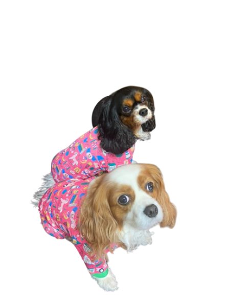 画像6: 【キャバスーツ LIMITED】PLAY ROOM（プレイルーム） (6)