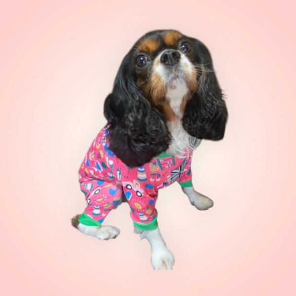 画像5: 【キャバスーツ LIMITED】PLAY ROOM（プレイルーム） (5)