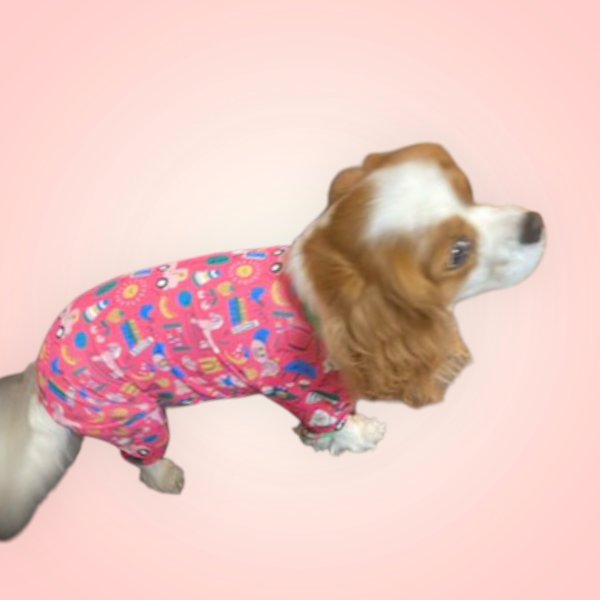 画像4: 【キャバスーツ LIMITED】PLAY ROOM（プレイルーム） (4)