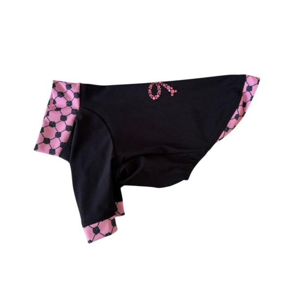 画像2:  9月新作★先行予約 【CAVA TEE SPANGLE】Wrapped in Roses（ラッピンローズ） (2)