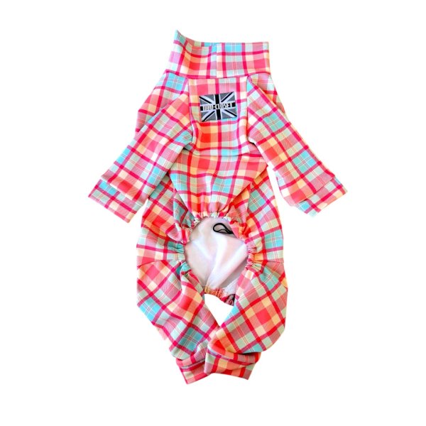 画像3:  6月新作 【キャバスーツ LIMITED】Fruits Basket（フルーツバスケット） (3)